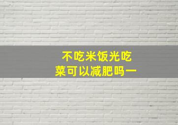 不吃米饭光吃菜可以减肥吗一