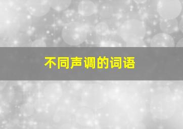 不同声调的词语