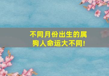 不同月份出生的属狗人命运大不同!