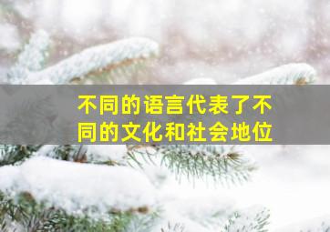 不同的语言代表了不同的文化和社会地位