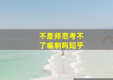 不是师范考不了编制吗知乎