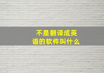 不是翻译成英语的软件叫什么