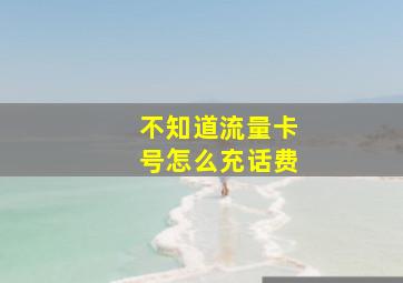 不知道流量卡号怎么充话费