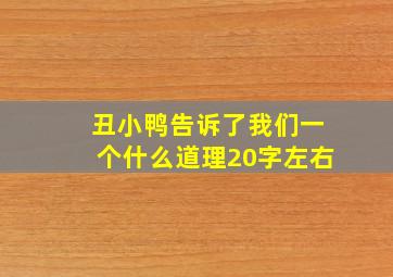 丑小鸭告诉了我们一个什么道理20字左右