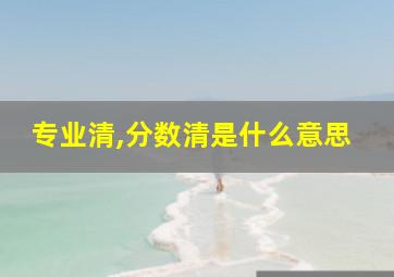 专业清,分数清是什么意思