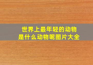 世界上最年轻的动物是什么动物呢图片大全