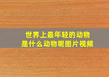 世界上最年轻的动物是什么动物呢图片视频