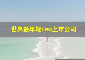 世界最年轻ceo上市公司