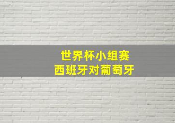 世界杯小组赛西班牙对葡萄牙