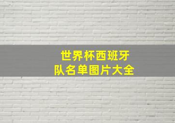 世界杯西班牙队名单图片大全