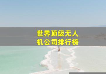 世界顶级无人机公司排行榜