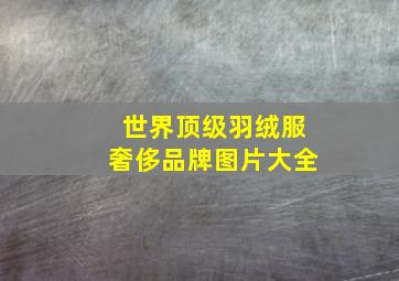 世界顶级羽绒服奢侈品牌图片大全