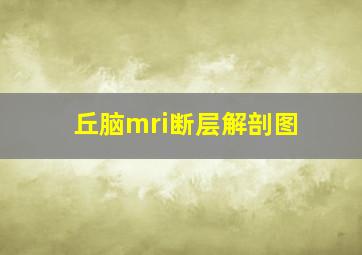 丘脑mri断层解剖图