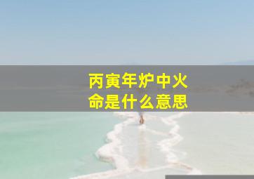 丙寅年炉中火命是什么意思