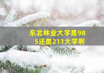 东北林业大学是985还是211大学啊