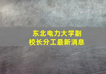 东北电力大学副校长分工最新消息