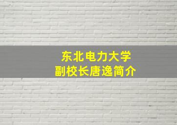 东北电力大学副校长唐逸简介