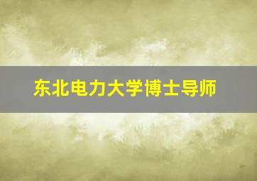 东北电力大学博士导师