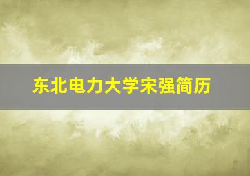 东北电力大学宋强简历