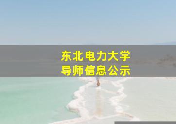 东北电力大学导师信息公示