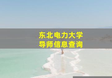 东北电力大学导师信息查询