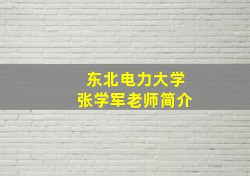 东北电力大学张学军老师简介