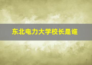 东北电力大学校长是谁