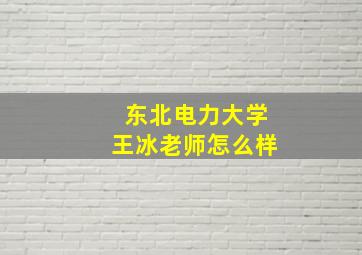 东北电力大学王冰老师怎么样