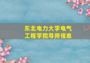 东北电力大学电气工程学院导师信息