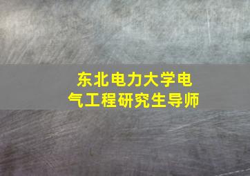 东北电力大学电气工程研究生导师