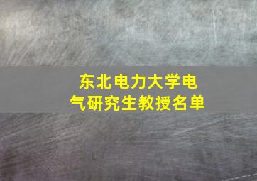 东北电力大学电气研究生教授名单