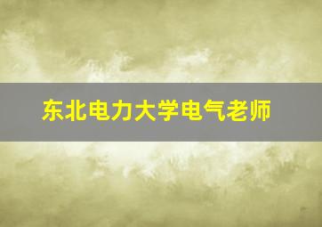 东北电力大学电气老师