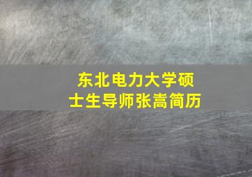 东北电力大学硕士生导师张嵩简历