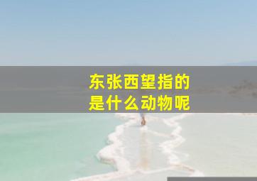 东张西望指的是什么动物呢