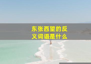 东张西望的反义词语是什么