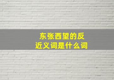 东张西望的反近义词是什么词