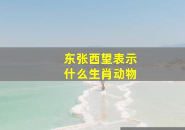 东张西望表示什么生肖动物