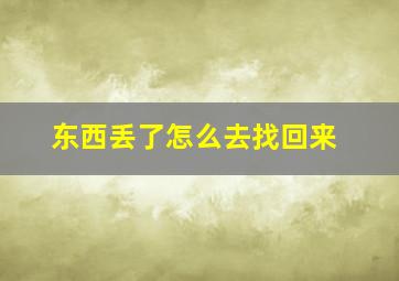 东西丢了怎么去找回来