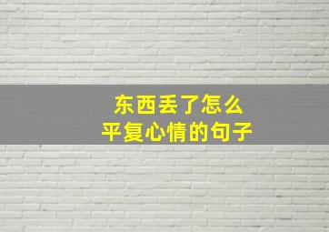 东西丢了怎么平复心情的句子