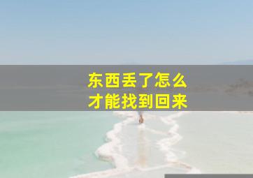 东西丢了怎么才能找到回来