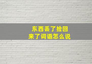 东西丢了捡回来了词语怎么说