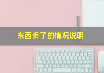 东西丢了的情况说明