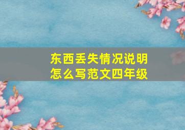 东西丢失情况说明怎么写范文四年级