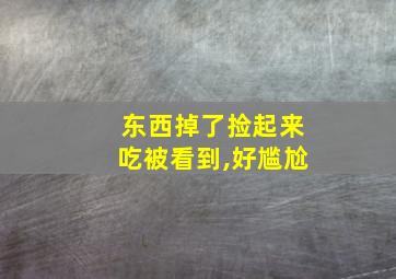 东西掉了捡起来吃被看到,好尴尬