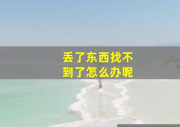 丢了东西找不到了怎么办呢