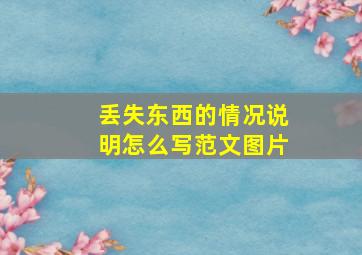 丢失东西的情况说明怎么写范文图片