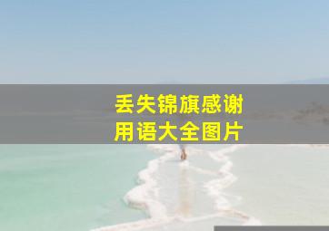 丢失锦旗感谢用语大全图片