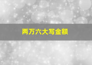 两万六大写金额