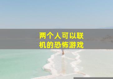 两个人可以联机的恐怖游戏