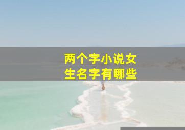 两个字小说女生名字有哪些